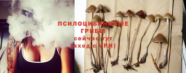 хмурый Корсаков