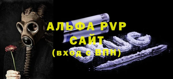 хмурый Корсаков