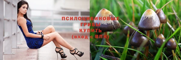 синтетический гашиш Костерёво