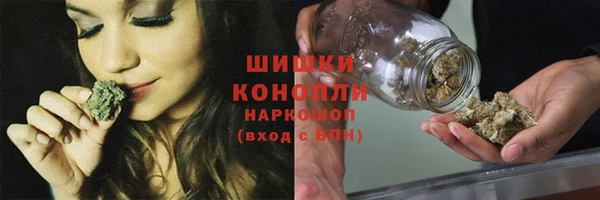хмурый Корсаков