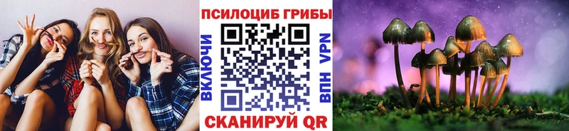 Купить закладки  Новая Усмань  Галлюциногенные грибы GOLDEN TEACHER 